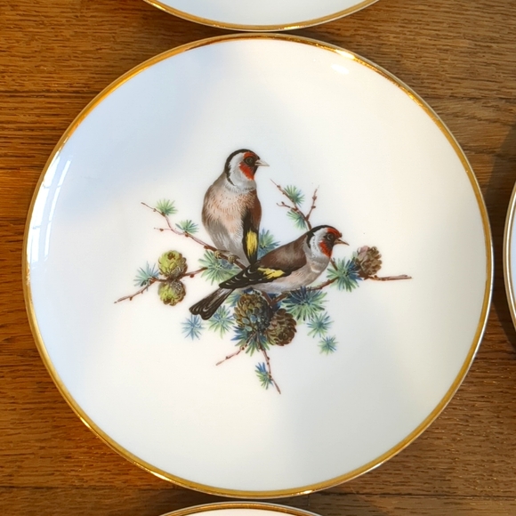 Vintage Set of Six Birds and Botanical Unique China Plates - Picture 5 of 8